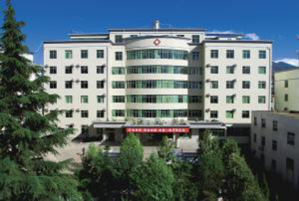 �ጎ�����tԺ