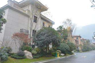 �VԪ�e���^�Ӊ���ˮ�Ŀ