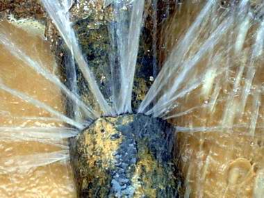 �ܾW©ˮ���ܕ�������ЩӰ���